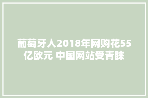 葡萄牙人2018年网购花55亿欧元 中国网站受青睐