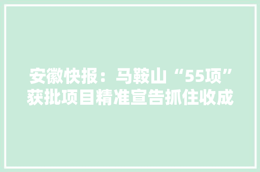 安徽快报：马鞍山“55项”获批项目精准宣告抓住收成商机