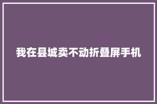 我在县城卖不动折叠屏手机