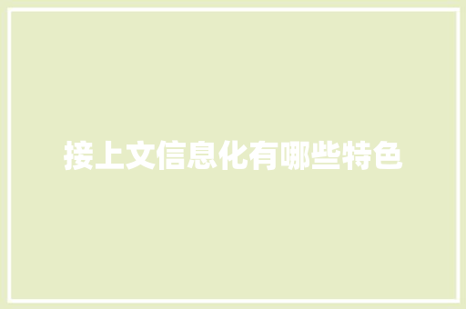 接上文信息化有哪些特色