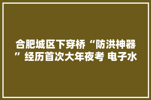 合肥城区下穿桥“防洪神器”经历首次大年夜考 电子水尺、爆闪灯登场