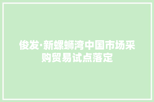 俊发·新螺蛳湾中国市场采购贸易试点落定