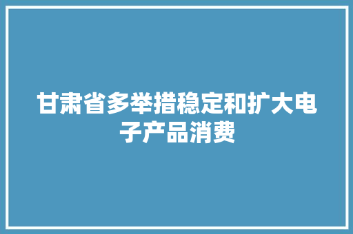 甘肃省多举措稳定和扩大电子产品消费