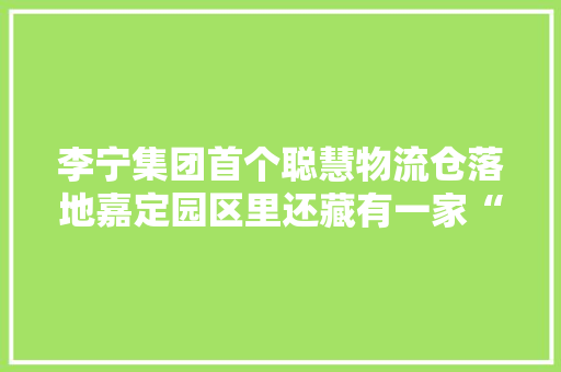 李宁集团首个聪慧物流仓落地嘉定园区里还藏有一家“宝藏店”