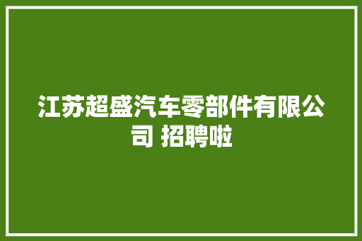 江苏超盛汽车零部件有限公司 招聘啦
