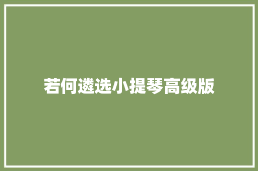 若何遴选小提琴高级版