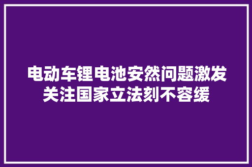 电动车锂电池安然问题激发关注国家立法刻不容缓