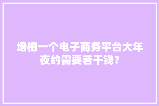 培植一个电子商务平台大年夜约需要若干钱？