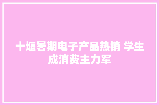 十堰暑期电子产品热销 学生成消费主力军