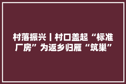 村落振兴丨村口盖起“标准厂房”为返乡归雁“筑巢”