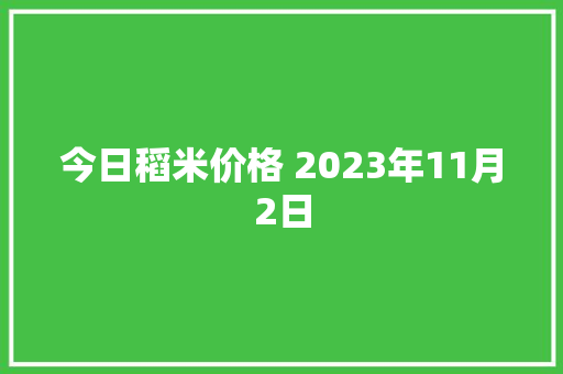 今日稻米价格 2023年11月2日
