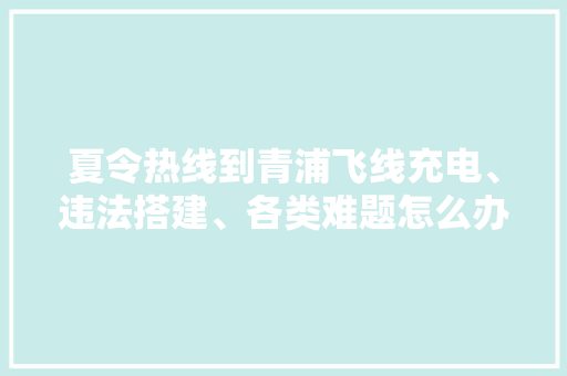 夏令热线到青浦飞线充电、违法搭建、各类难题怎么办？