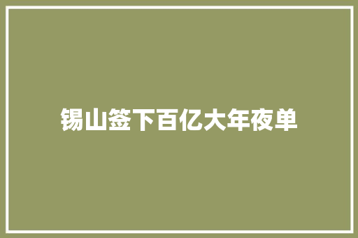 锡山签下百亿大年夜单