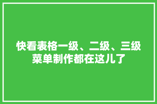快看表格一级、二级、三级菜单制作都在这儿了