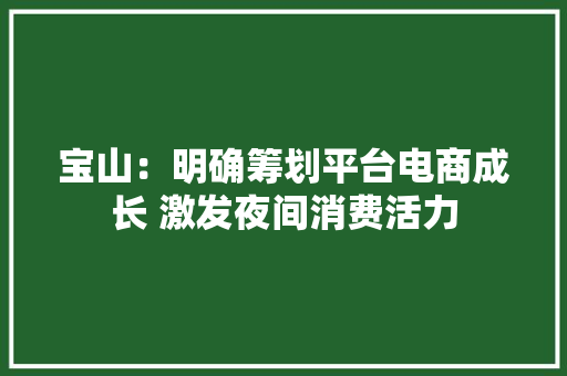 宝山：明确筹划平台电商成长 激发夜间消费活力