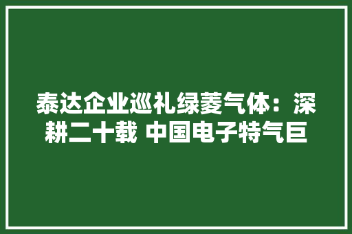 泰达企业巡礼绿菱气体：深耕二十载 中国电子特气巨子这样炼成！