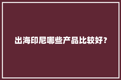出海印尼哪些产品比较好？