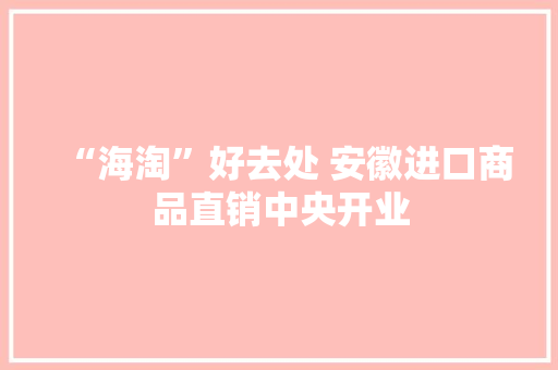 “海淘”好去处 安徽进口商品直销中央开业