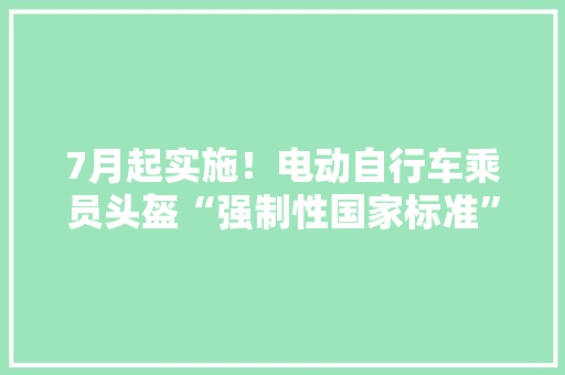 7月起实施！电动自行车乘员头盔“强制性国家标准”来了
