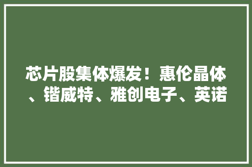 芯片股集体爆发！惠伦晶体、锴威特、雅创电子、英诺激光20CM涨停上海贝岭上半年大年夜幅扭亏