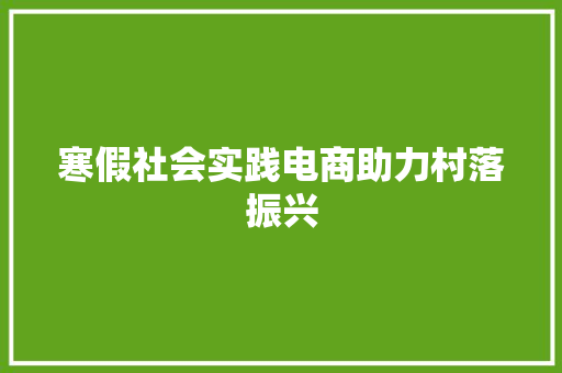 寒假社会实践电商助力村落振兴