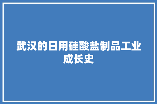 武汉的日用硅酸盐制品工业成长史
