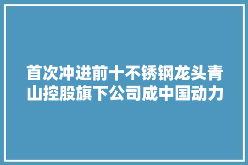 首次冲进前十不锈钢龙头青山控股旗下公司成中国动力电池行业黑马