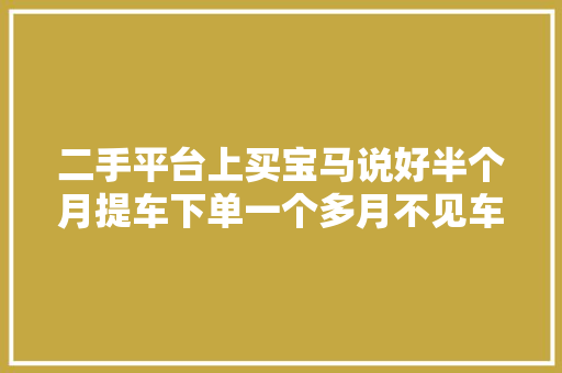 二手平台上买宝马说好半个月提车下单一个多月不见车影