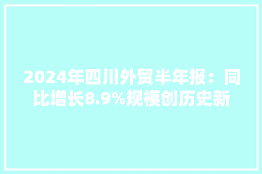 2024年四川外贸半年报：同比增长8.9%规模创历史新高