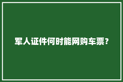 军人证件何时能网购车票？