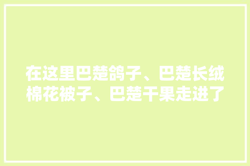 在这里巴楚鸽子、巴楚长绒棉花被子、巴楚干果走进了上海