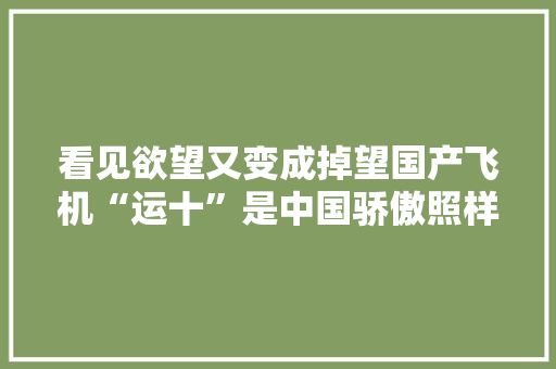 看见欲望又变成掉望国产飞机“运十”是中国骄傲照样缺点？