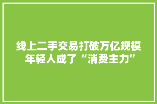 线上二手交易打破万亿规模 年轻人成了“消费主力”