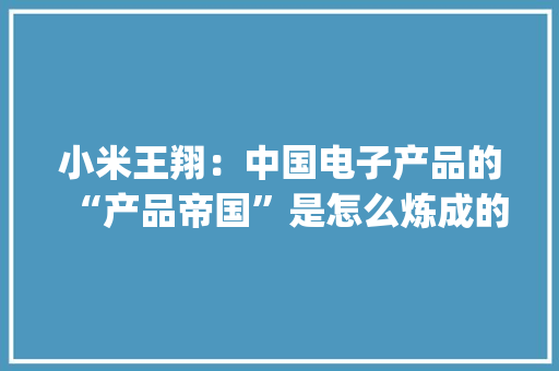 小米王翔：中国电子产品的“产品帝国”是怎么炼成的？|WISE2021新经济之王大年夜会