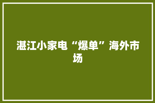 湛江小家电“爆单”海外市场