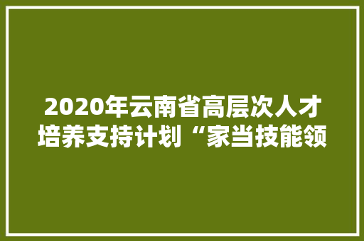 2020年云南省高层次人才培养支持计划“家当技能领军人才”等5个专项入选人才通知书记