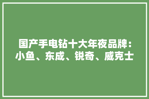 国产手电钻十大年夜品牌：小鱼、东成、锐奇、威克士上榜