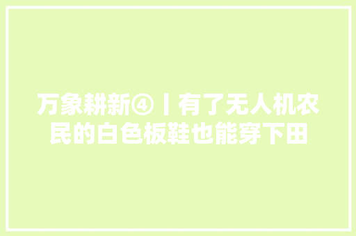 万象耕新④丨有了无人机农民的白色板鞋也能穿下田