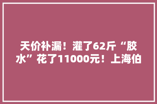 天价补漏！灌了62斤“胶水”花了11000元！上海伯伯很很很受伤