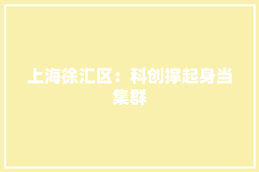 上海徐汇区：科创撑起身当集群