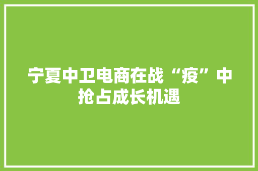 宁夏中卫电商在战“疫”中抢占成长机遇