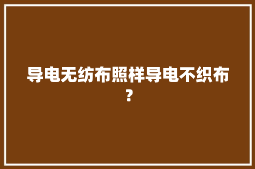 导电无纺布照样导电不织布？