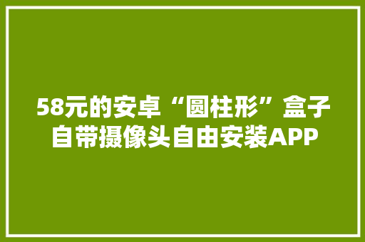 58元的安卓“圆柱形”盒子自带摄像头自由安装APP