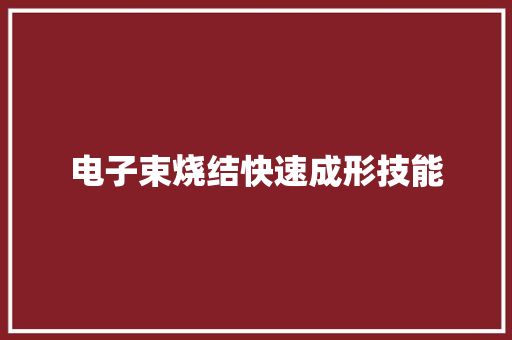 电子束烧结快速成形技能
