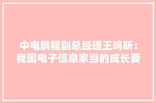 中电鹏程副总经理王鸣昕：我国电子信息家当的成长要向上游延伸构造