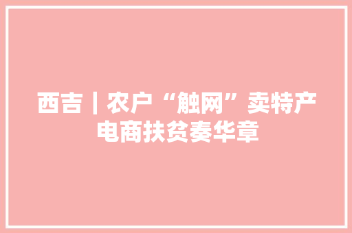 西吉｜农户“触网”卖特产电商扶贫奏华章
