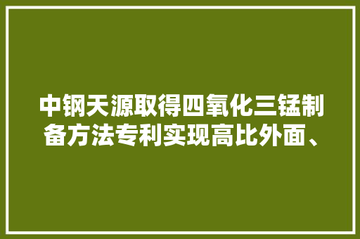 中钢天源取得四氧化三锰制备方法专利实现高比外面、高分散度产品的制备