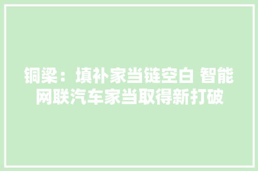 铜梁：填补家当链空白 智能网联汽车家当取得新打破