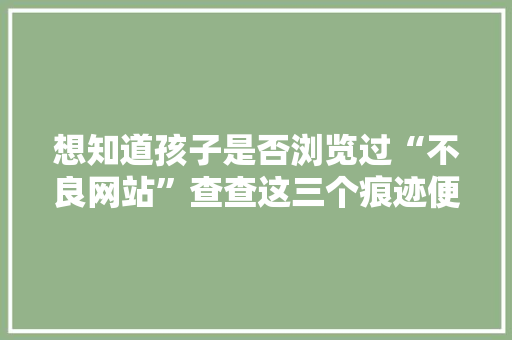 想知道孩子是否浏览过“不良网站”查查这三个痕迹便一目了然