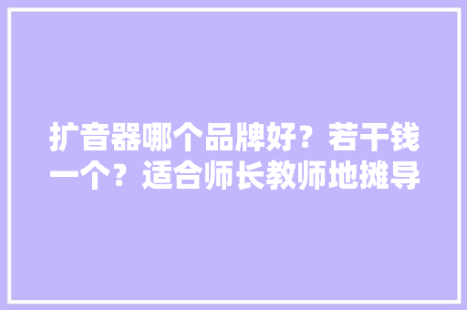 扩音器哪个品牌好？若干钱一个？适合师长教师地摊导游等场景